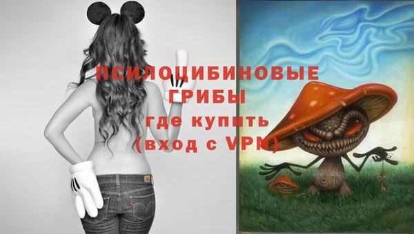 прущие крисы Алексеевка