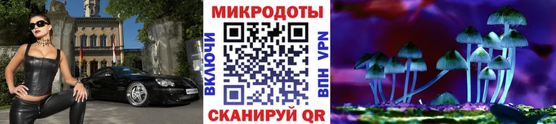 что такое наркотик  Оса  Галлюциногенные грибы Cubensis 